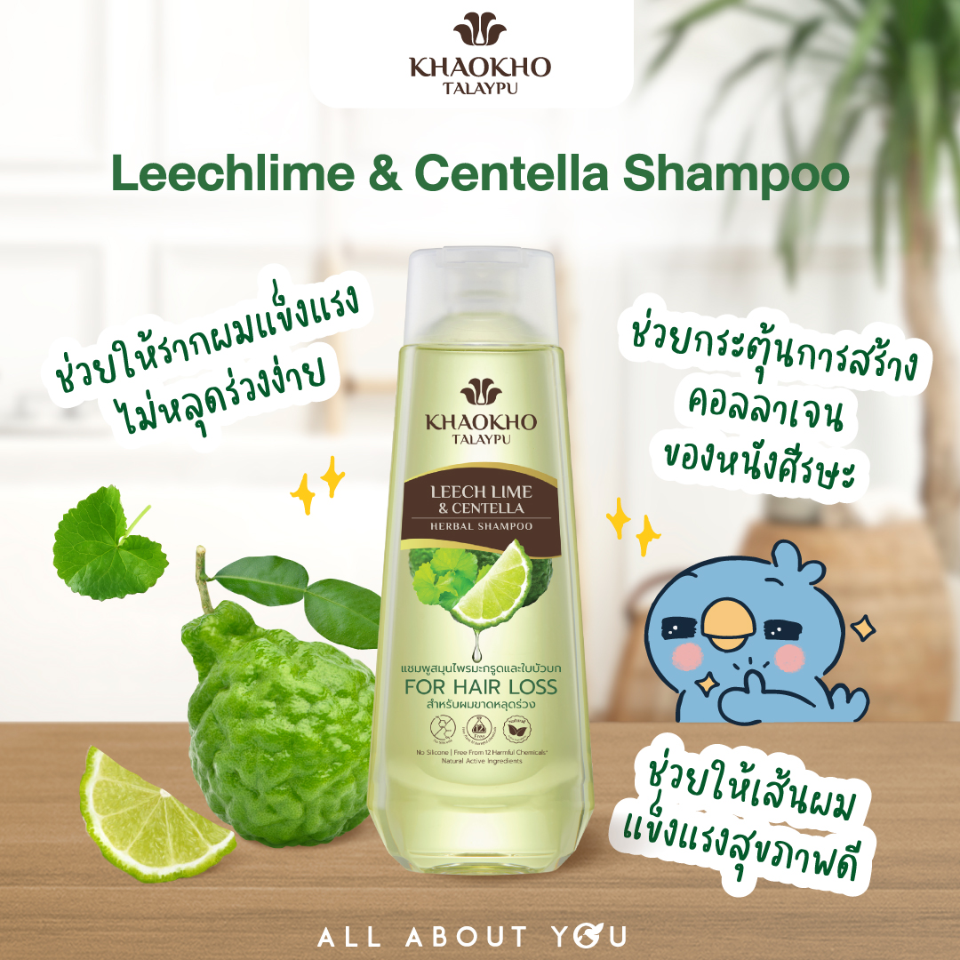 Khaokho Talaypu Leechlime & Centella Shampoo