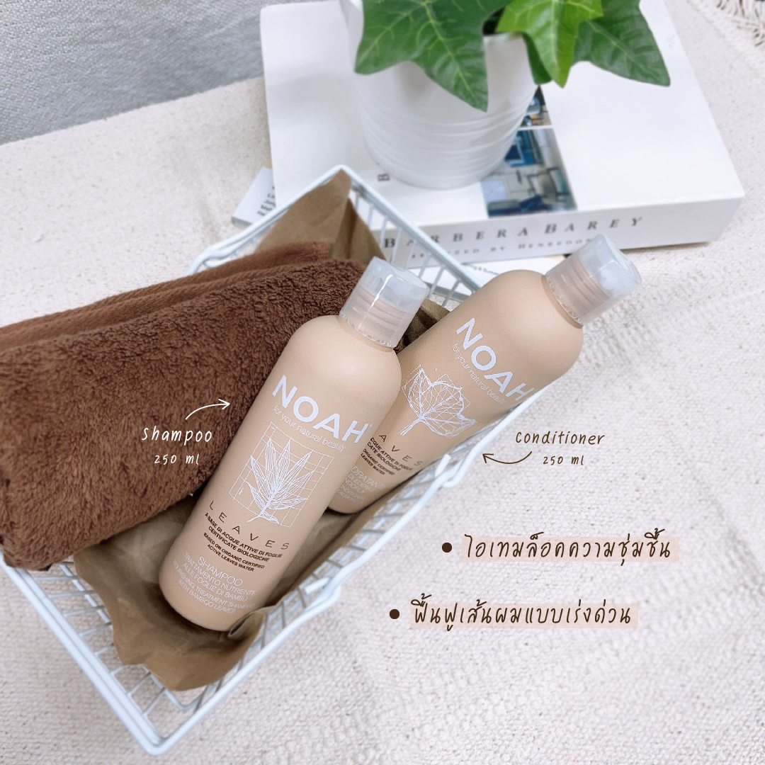 NOAH - Shampoo - Conditioner - Bamboo - Ivy - Almond