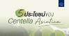 5 คุณประโยชน์ของ Centella Asiatica ที่มีต่อผิว