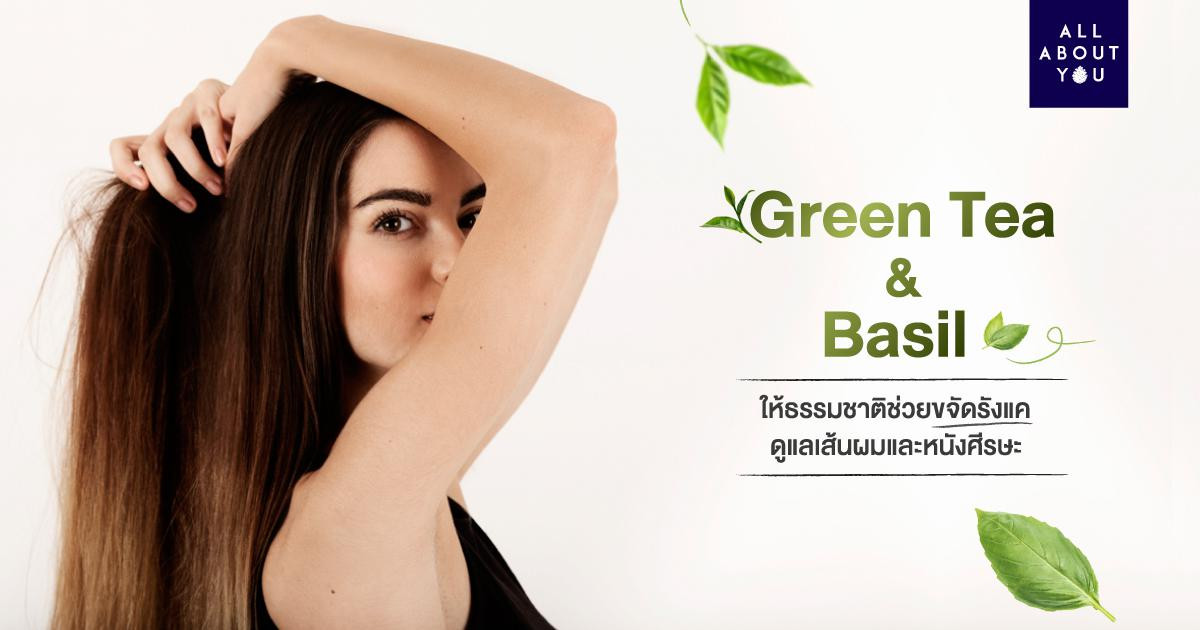 รังแค แก้ได้ ด้วย Green Tea & Basil ในแชมพูลดผมร่วงและแชมพูขจัดรังแค