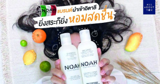 Review สยบผมมันลีบแบน ด้วย NOAH แบรนด์ดังจากอิตาลี